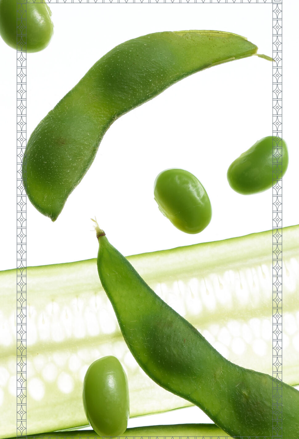 soy benefits